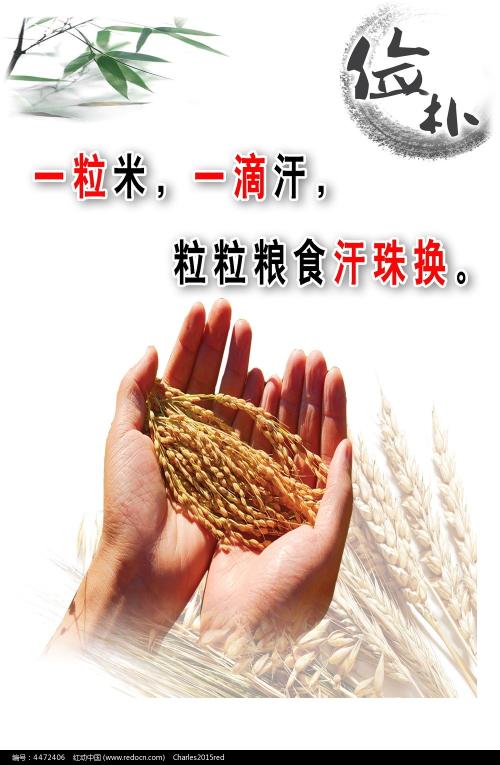 哪里可以办约翰森州立学院文凭毕业证